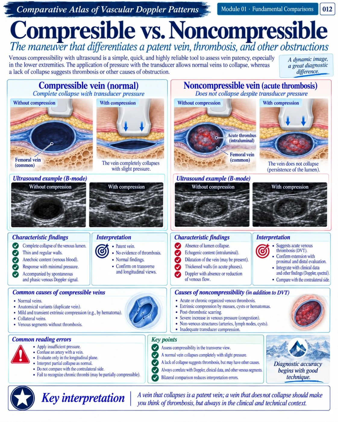Page 12: Compressible vs. non-compressible. English preview of the digital vascular Doppler material.