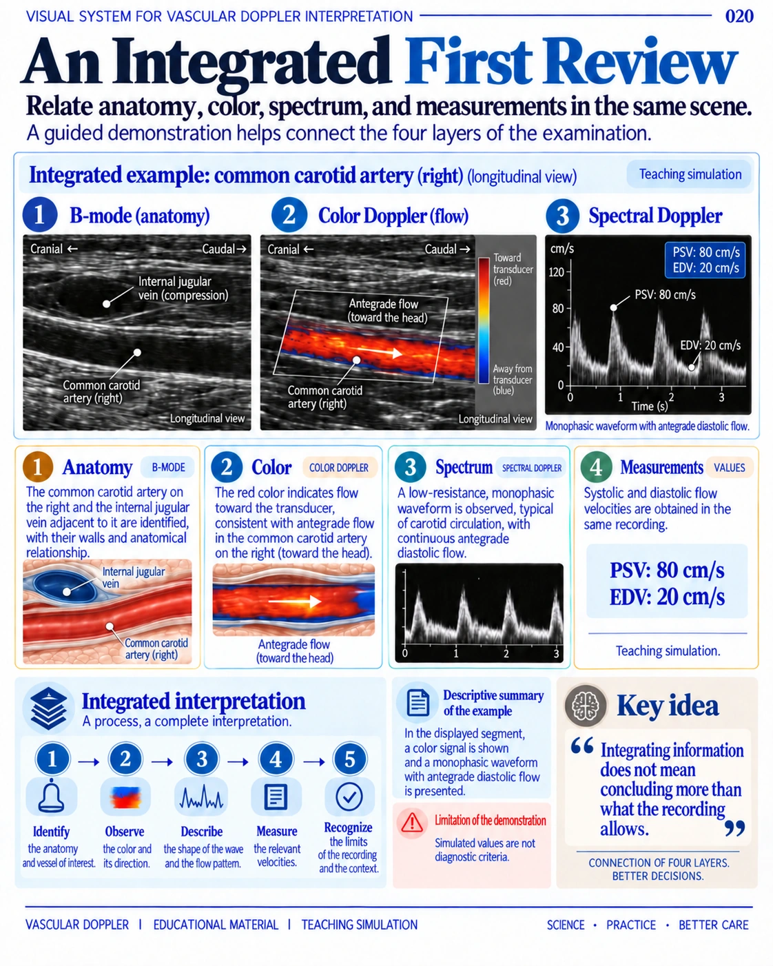Page 20: An integrated first review. English preview of the digital vascular Doppler material.