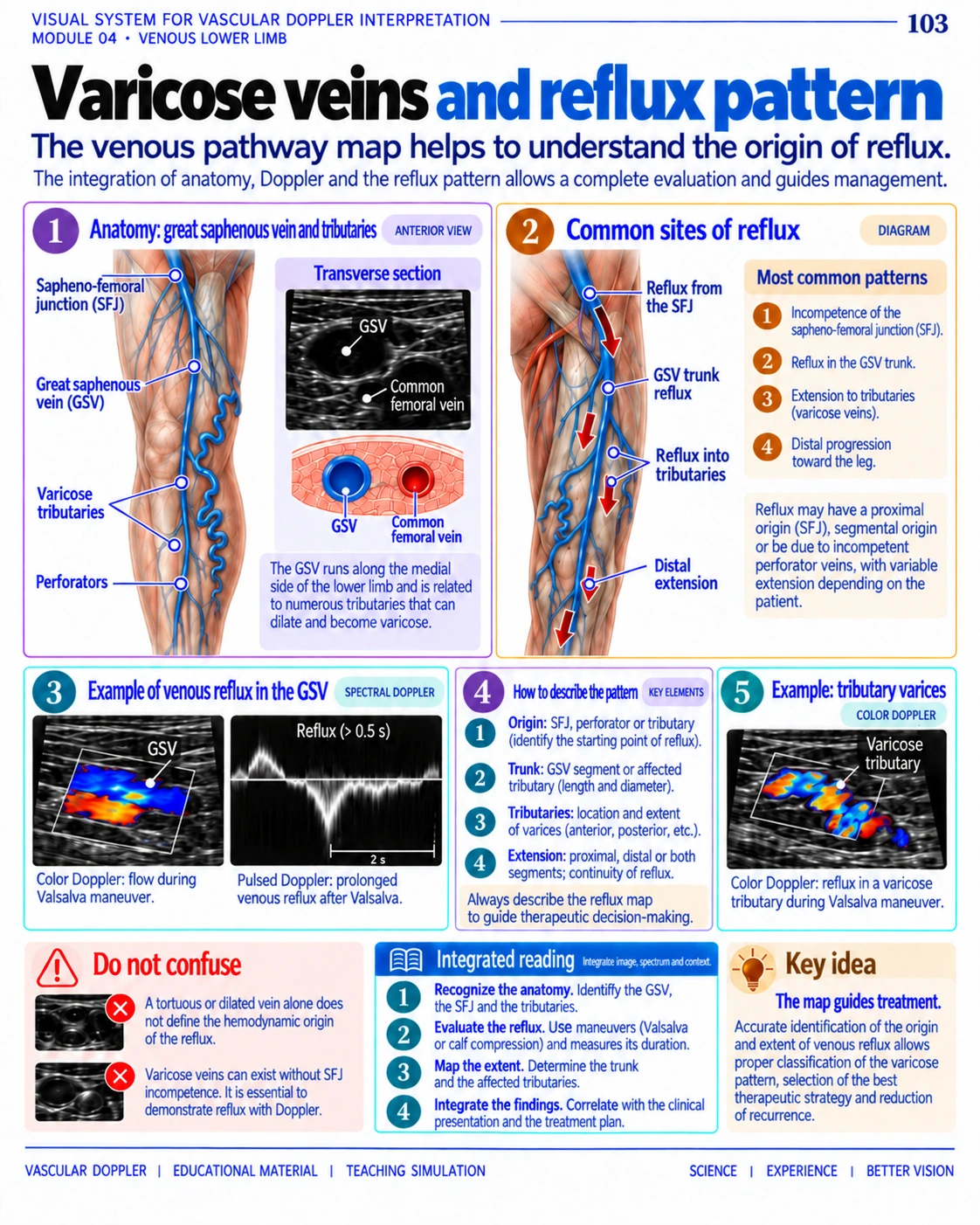 Page 103: Varicose veins and reflux patterns. English preview of the digital vascular Doppler material.